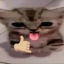 mariusxweyman