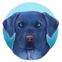 badogblue