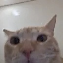 evetjs