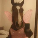 ambrkitty