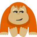 davidisrad