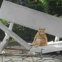 aawontonn