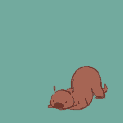 otter6969