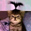 avatar ☯КℴᏔα☯