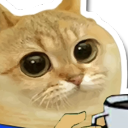 avatar Nuggat