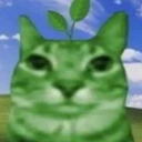 avatar Photosynthesis