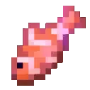 cswim