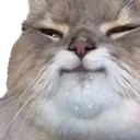 .rngzus