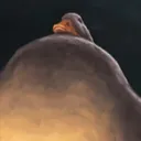 cookiewookie