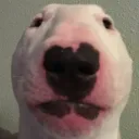 pugmaster3943