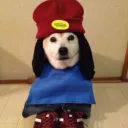 mrpwasson