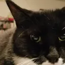 ptrst