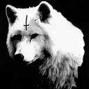 direwolfza