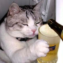 avatar พิ ช ช า น น ท์