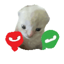 avatar smug