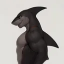 shorky_shork