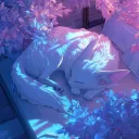 nebula.rr