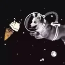 akithespacecorgi