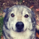 avatar EulaFootEnjoyer