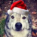 avatar EulaFootEnjoyer