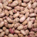 the_bean0