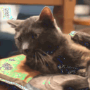 avatar SpaceForceSpiff