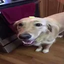 squitofn