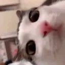 hakselaar