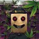 drstned.eth
