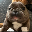 itsmegamo member profile picture