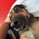 krwawymarian