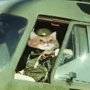 bollbott