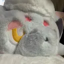 jo222222