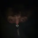 de4ddxm