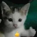 bakedpotato__
