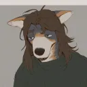polar_28
