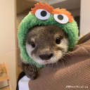 targetz#4084's avatar