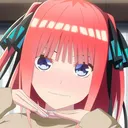 pixietaco