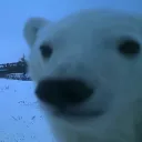skybreacoeur