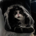 avatar Levi De Wintour