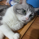 avatar Levi De Wintour