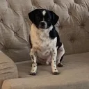 kroncc