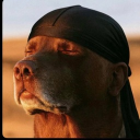 avatar Rosárïo 災