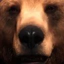 adjplayz