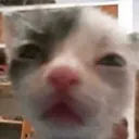 dnxhuh