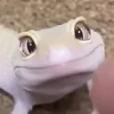 rumelius