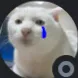 nina6684