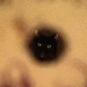 canioops