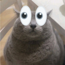 avatar chonk