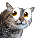 avatar chonk